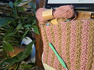 Productreview foto van klant - DROPS Lima Mix - 9022 blush - Wol Garen