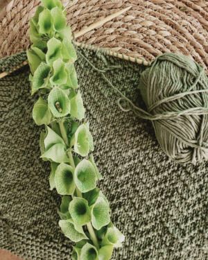 Productreview foto van klant - DROPS Merino Extra Fine Uni Colour - 53 mosgroen - Wol Garen