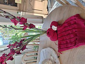 Productreview foto van klant - Katia Basic Merino - 24 donker fuchsia - Wol/Acryl Garen