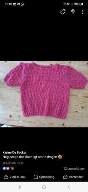Productreview foto van klant - DROPS Brushed Alpaca Silk Uni Colour - 18 cerise - Wol Garen