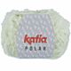 Katia Polar - 108 lichtgroen-wit - Polyester Garen