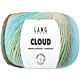Lang Yarns Cloud - 16 Meer - Chunky / Dik Merinowol Garen met Kleurverloop