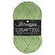 Scheepjes Scrumptious - 318 Pistachio Bundt Cake - Gerecycled Polyester/Acryl Garen