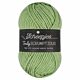 Scheepjes Truly Scrumptious - 318 Pistachio Bundt Cake - Garen van Gerecyclede Plastic Flessen