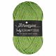 Scheepjes Truly Scrumptious 326 Matcha Chiffon Cake - Garen van Gerecyclede Plastic Flessen - preview