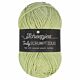 Scheepjes Truly Scrumptious - 337 Key Lime Pie - Garen van Gerecyclede Plastic Flessen