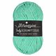 Scheepjes Truly Scrumptious 340 Mint Whoopie Pie - Garen van gerecyclede plastic flessen - preview