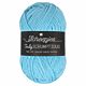Scheepjes Truly Scrumptious - 343 French Blue Macaron - Garen van Gerecyclede Plastic Flessen