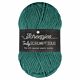 Scheepjes Truly Scrumptious - 349 Rainforest Cake - Garen van Gerecyclede Plastic Flessen