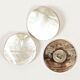DROPS Blinde Knoop Wit Nr 524 (per stuk) - 20mm - Parelmoer Knopen
