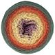 Scheepjes Cotton Whirl - 708 Pumpkin Spice - Biologisch Katoen Garencake