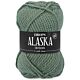 DROPS Alaska Uni Colour - 75 saliegroen - Wol Garen