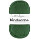 Scheepjes Kindsome - 717 Forest Green - Biologisch Afbreekbaar Babygaren 1 - preview