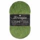 Scheepjes Scrumptious - 336 Green Tea Éclairs - Gerecycled Polyester/Acryl Garen