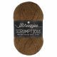 Scheepjes Scrumptious - 363 Gingerbread Pudding - Gerecycled Polyester/Acryl Garen