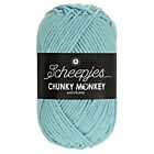 Scheepjes Chunky Monkey - 1019 powder blue - Acryl Garen