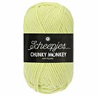 Scheepjes Chunky Monkey - 1020 mintgroen - Acryl Garen