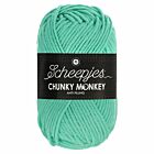 Scheepjes Chunky Monkey - 1422 aqua - Acryl Garen