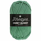 Scheepjes Chunky Monkey - 1725 eucalyptus - Acryl Garen