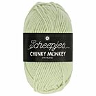 Scheepjes Chunky Monkey - 2017 stone - Acryl Garen
