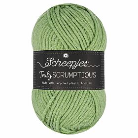 Scheepjes Truly Scrumptious 318 Pistachio Bundt Cake - Garen van gerecyclede plastic flessen