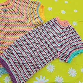 Haakpatroon Beez Truitje - Top down gehaakt met raglan - Ann @crochetknitting_beez 2